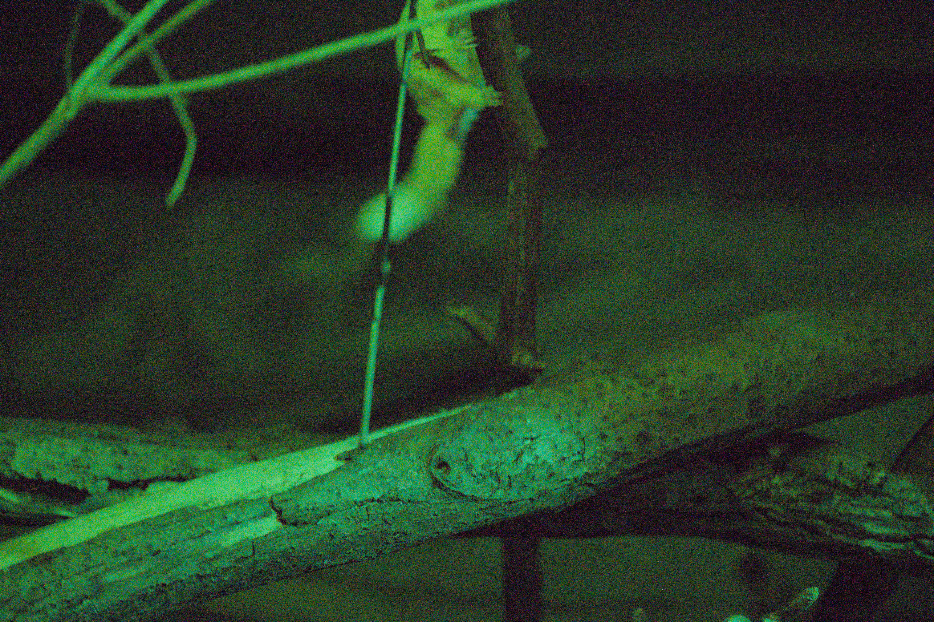 2025/10/12 - zoo/DSC_0255.jpg